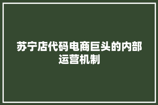 苏宁店代码电商巨头的内部运营机制