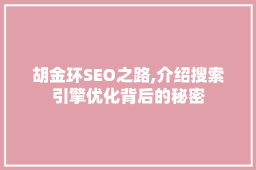 胡金环SEO之路,介绍搜索引擎优化背后的秘密
