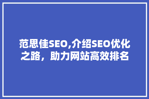 范思佳SEO,介绍SEO优化之路，助力网站高效排名