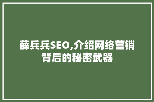 薛兵兵SEO,介绍网络营销背后的秘密武器