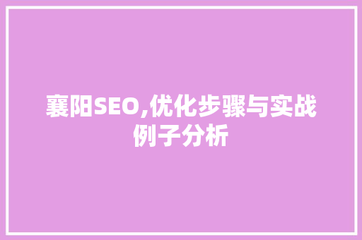 襄阳SEO,优化步骤与实战例子分析  第1张