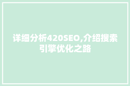 详细分析420SEO,介绍搜索引擎优化之路