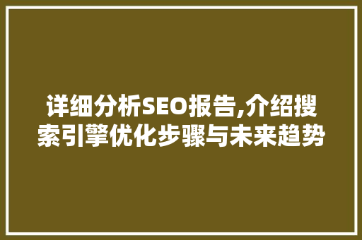 详细分析SEO报告,介绍搜索引擎优化步骤与未来趋势  第1张