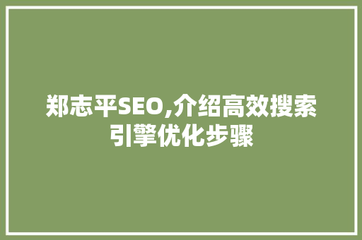 郑志平SEO,介绍高效搜索引擎优化步骤