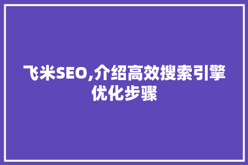 飞米SEO,介绍高效搜索引擎优化步骤