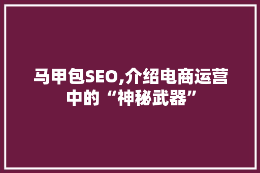 马甲包SEO,介绍电商运营中的“神秘武器”