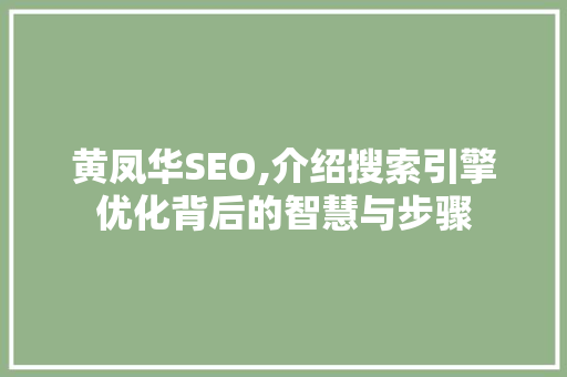 黄凤华SEO,介绍搜索引擎优化背后的智慧与步骤