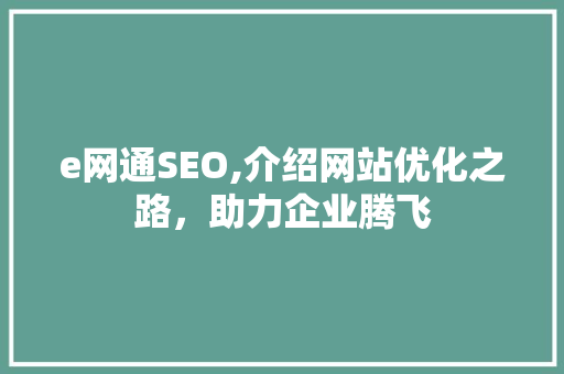 e网通SEO,介绍网站优化之路，助力企业腾飞