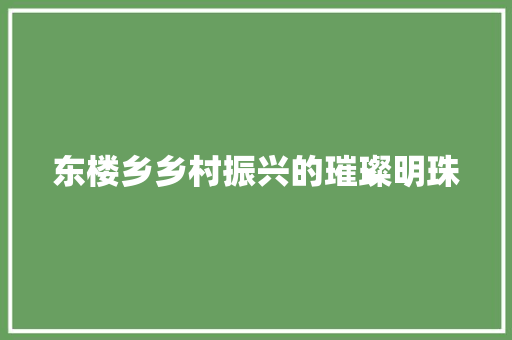 东楼乡乡村振兴的璀璨明珠