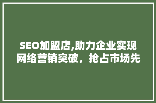 SEO加盟店,助力企业实现网络营销突破，抢占市场先机