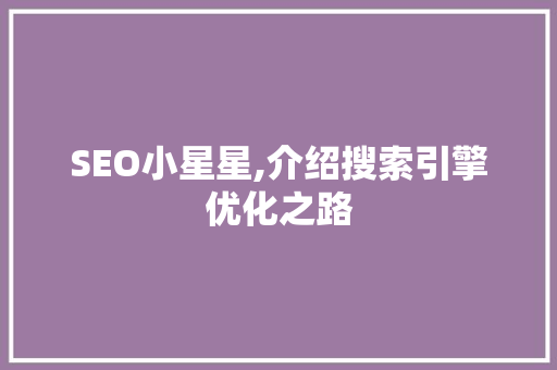 SEO小星星,介绍搜索引擎优化之路