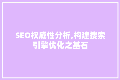 SEO权威性分析,构建搜索引擎优化之基石