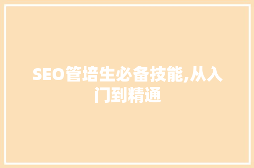 SEO管培生必备技能,从入门到精通