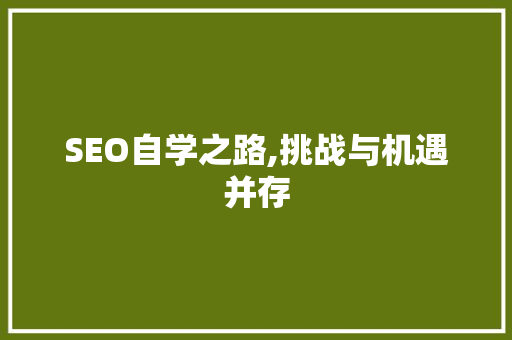 SEO自学之路,挑战与机遇并存