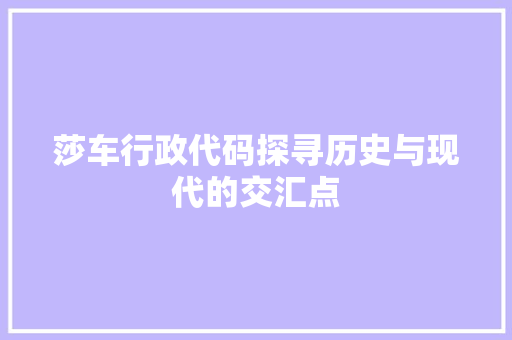 莎车行政代码探寻历史与现代的交汇点