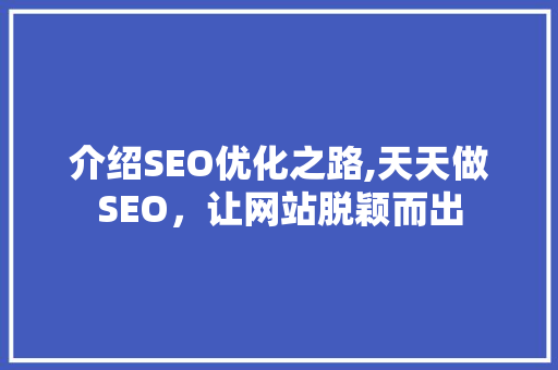 介绍SEO优化之路,天天做SEO，让网站脱颖而出