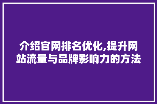 介绍官网排名优化,提升网站流量与品牌影响力的方法  第1张