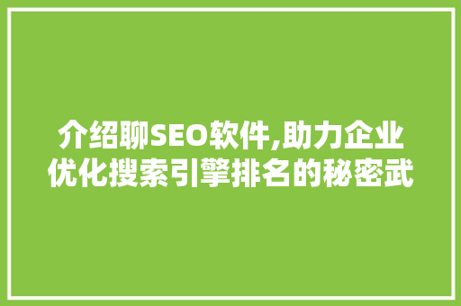 介绍聊SEO软件,助力企业优化搜索引擎排名的秘密武器
