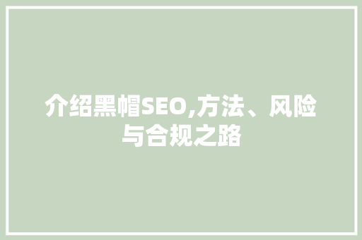 介绍黑帽SEO,方法、风险与合规之路