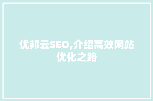优邦云SEO,介绍高效网站优化之路