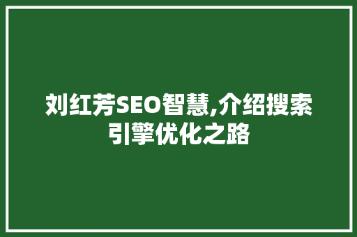 刘红芳SEO智慧,介绍搜索引擎优化之路