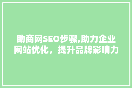 助商网SEO步骤,助力企业网站优化，提升品牌影响力