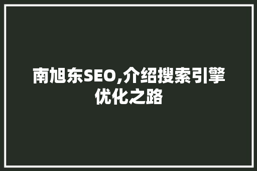 南旭东SEO,介绍搜索引擎优化之路