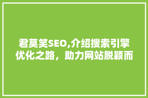 君莫笑SEO,介绍搜索引擎优化之路，助力网站脱颖而出