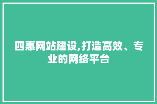 四惠网站建设,打造高效、专业的网络平台