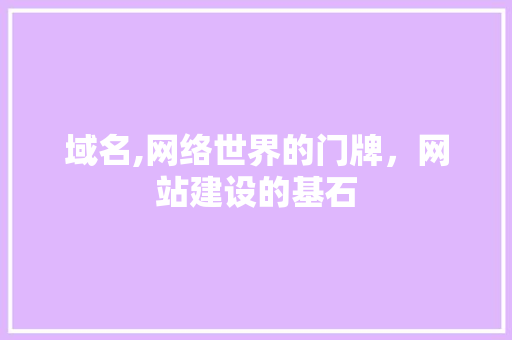 域名,网络世界的门牌，网站建设的基石