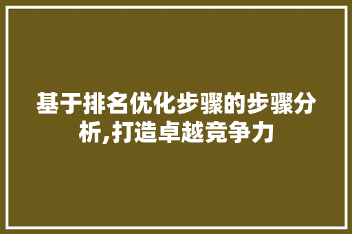 基于排名优化步骤的步骤分析,打造卓越竞争力