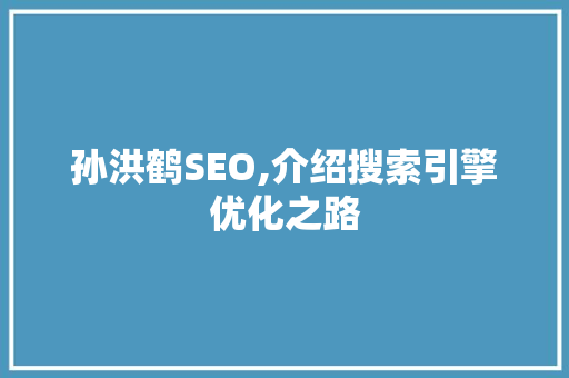 孙洪鹤SEO,介绍搜索引擎优化之路