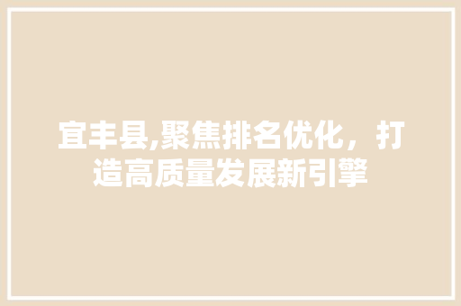 宜丰县,聚焦排名优化，打造高质量发展新引擎