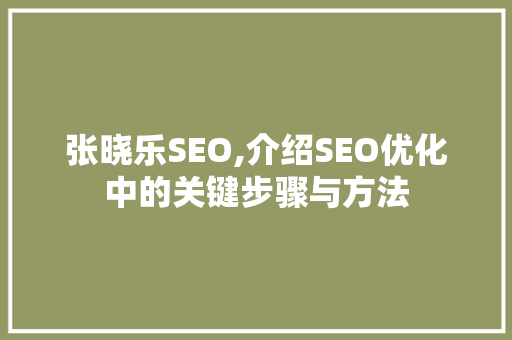 张晓乐SEO,介绍SEO优化中的关键步骤与方法