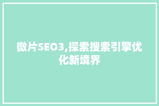 微片SEO3,探索搜索引擎优化新境界