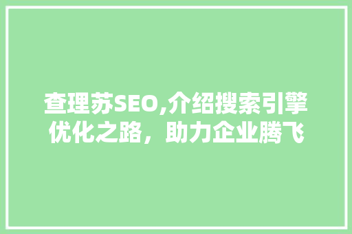 查理苏SEO,介绍搜索引擎优化之路，助力企业腾飞