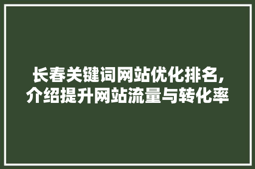 长春关键词网站优化排名,介绍提升网站流量与转化率的方法
