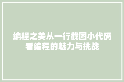 编程之美从一行截图小代码看编程的魅力与挑战