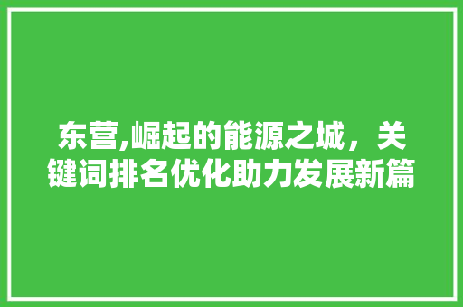 东营,崛起的能源之城，关键词排名优化助力发展新篇章