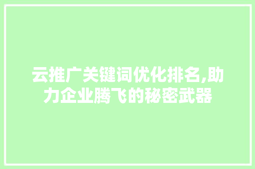 云推广关键词优化排名,助力企业腾飞的秘密武器