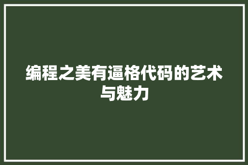 编程之美有逼格代码的艺术与魅力  第1张