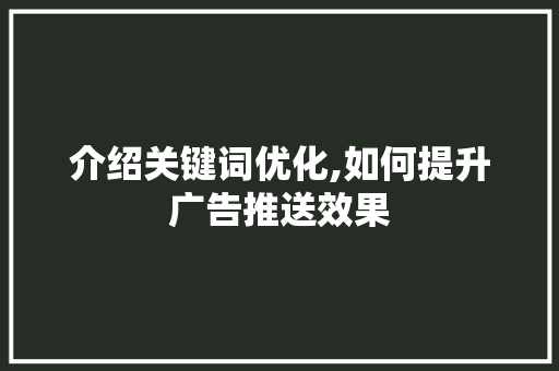 介绍关键词优化,如何提升广告推送效果
