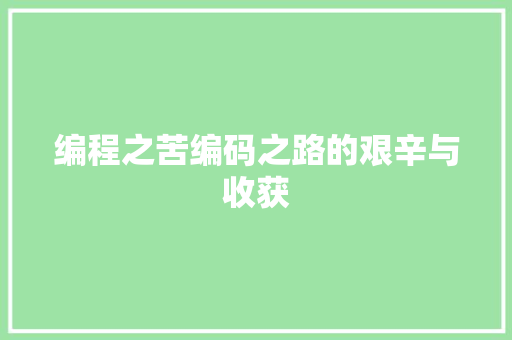 编程之苦编码之路的艰辛与收获