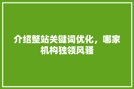 介绍整站关键词优化，哪家机构独领风骚
