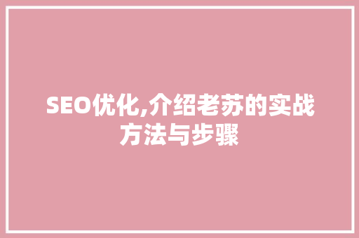 SEO优化,介绍老苏的实战方法与步骤