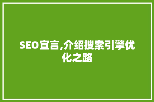SEO宣言,介绍搜索引擎优化之路  第1张