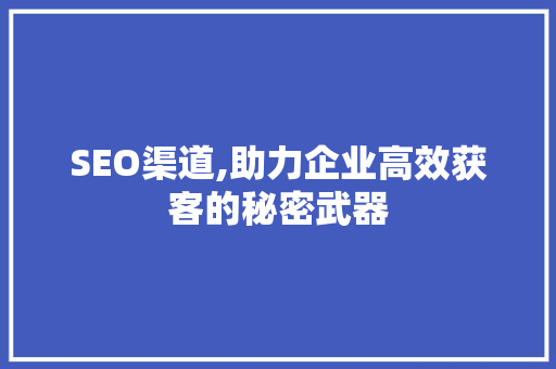SEO渠道,助力企业高效获客的秘密武器