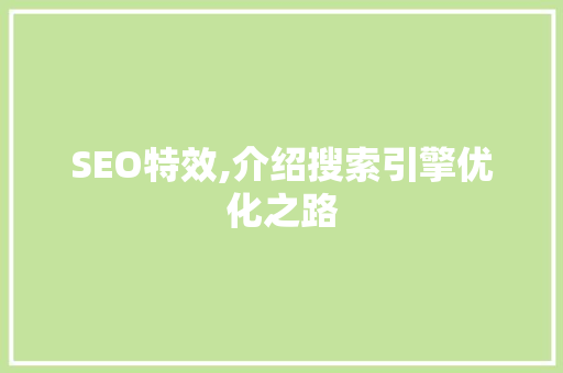 SEO特效,介绍搜索引擎优化之路