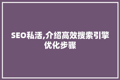 SEO私活,介绍高效搜索引擎优化步骤