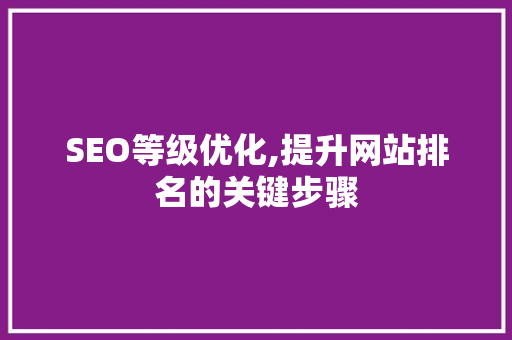 SEO等级优化,提升网站排名的关键步骤